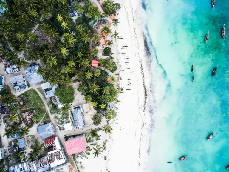 Palm-lined island surrounded by turquoise ocean